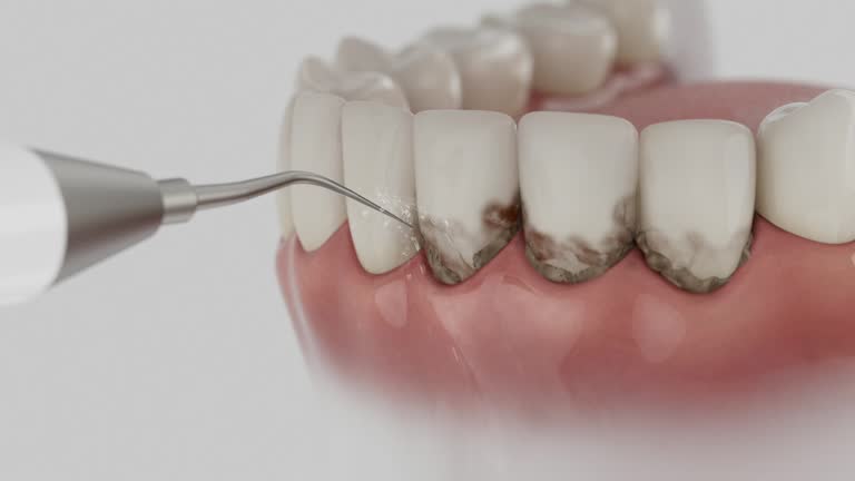 Reliable Dental contractor in Damascus, MD by Dentist Open Now